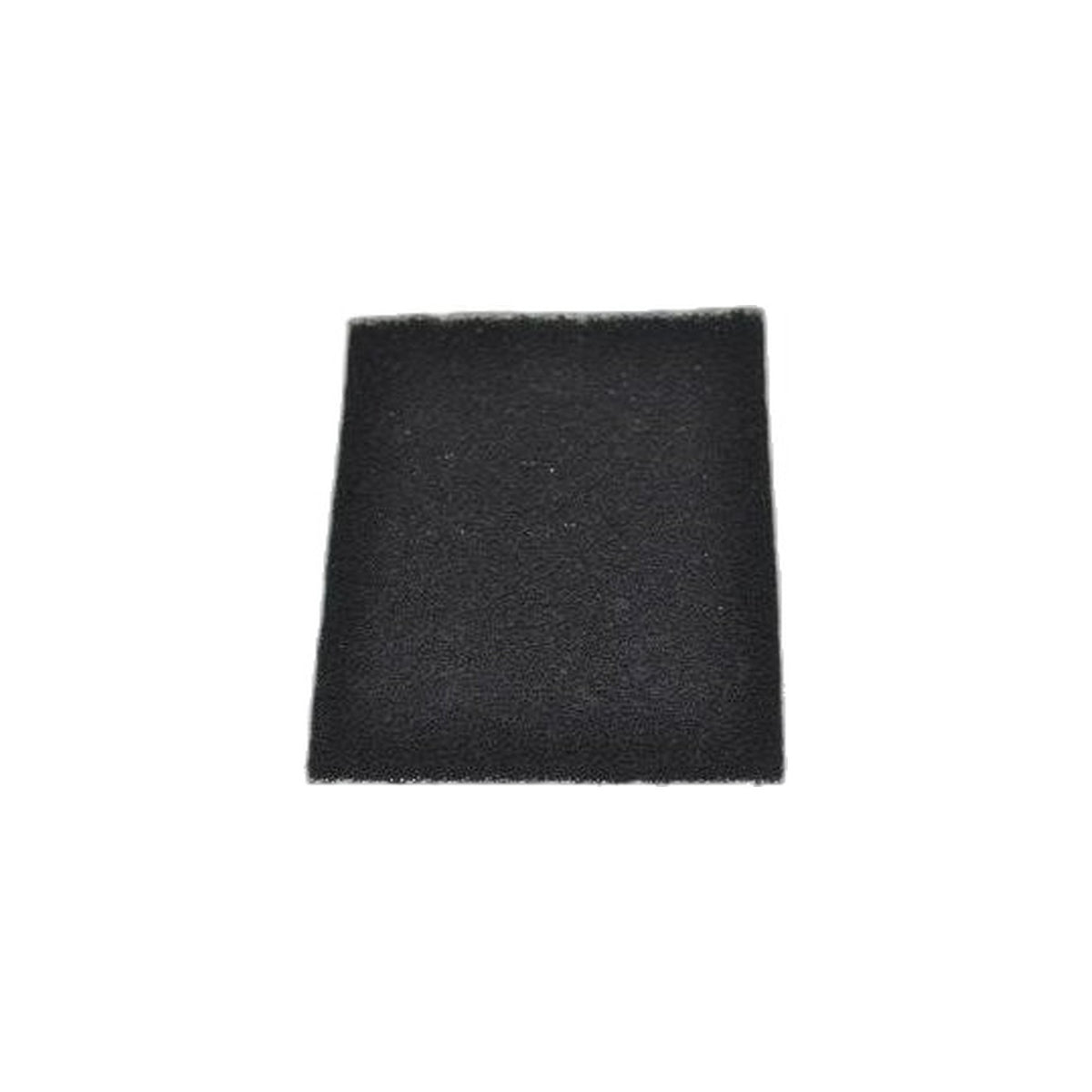 Hoover Carbon Media Filter - CH34006 Back Pack - CH93619