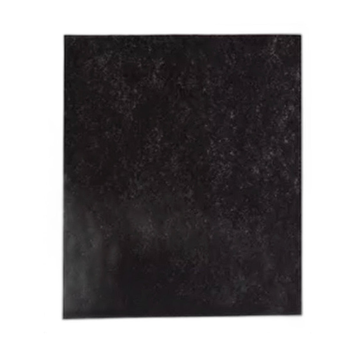 Eureka Electrolux EL490/EL491 Air Cleaner Carbon Filter