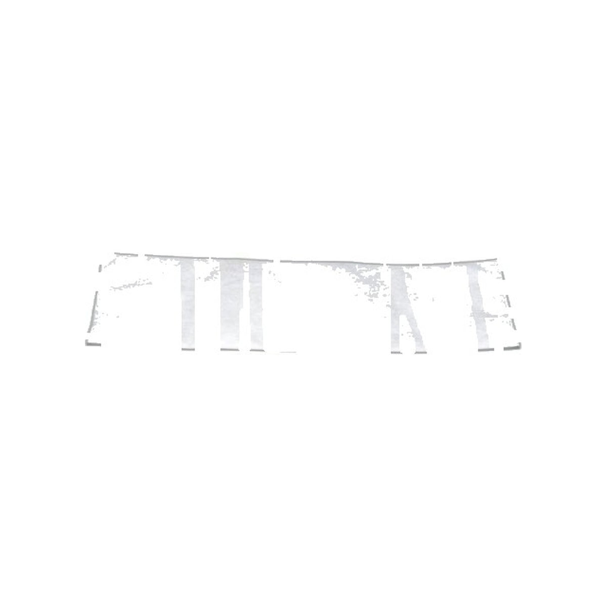Riccar Vibrance Electrostatic Filter