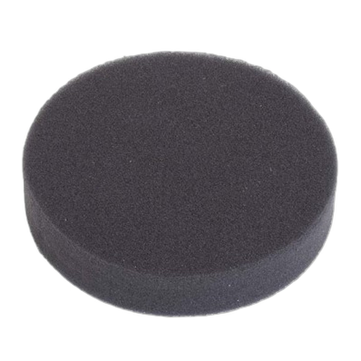 Bissell Febreze Pre-Motor Filter for 1650 Series Pet Hair Eraser