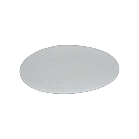 Bissell Secondary Garage Pro Filter