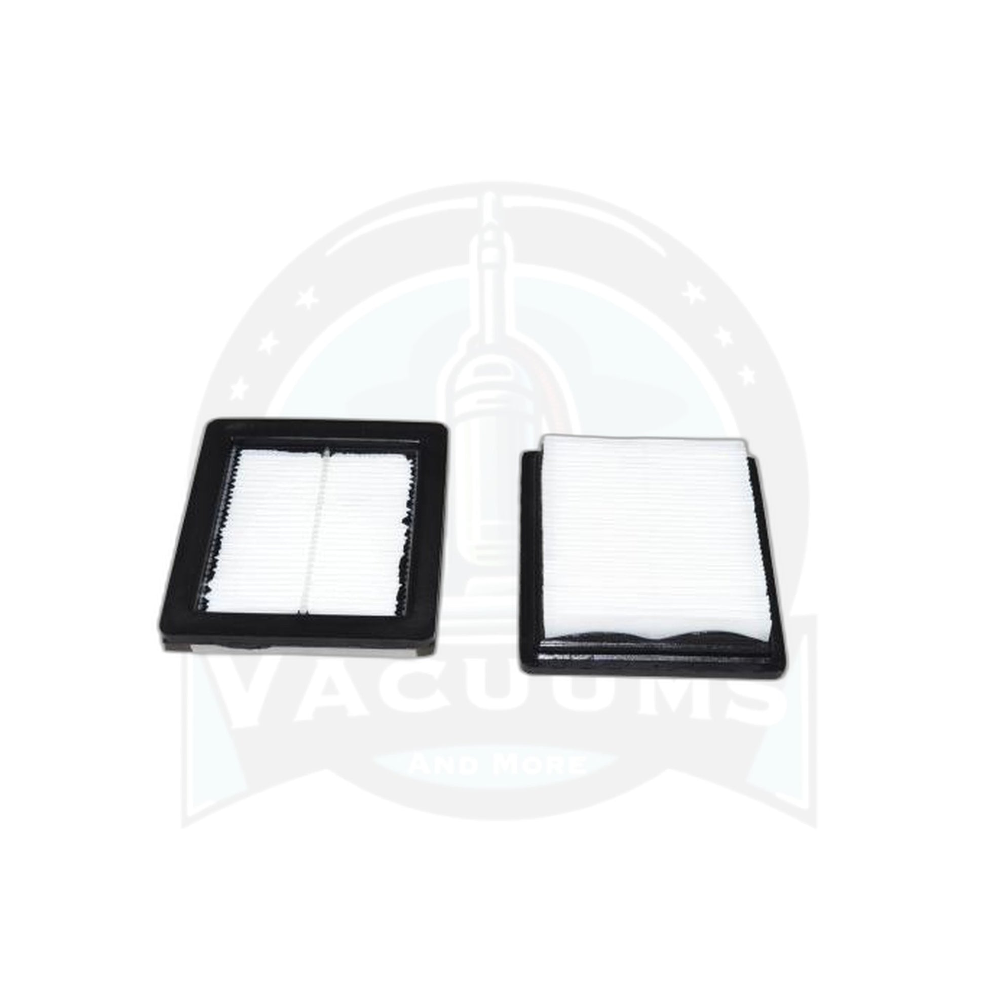 ProTeam HEPA Filter - 2 Pack, Gofit Back Pack - ProTeam